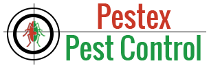 Pestex Pest Control Services In Hamilton