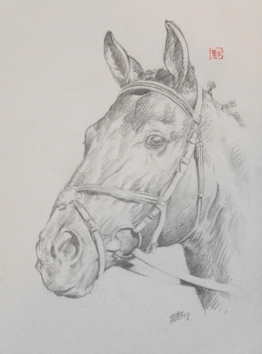 Dessin Tete De Cheval Realiste Tête de cheval