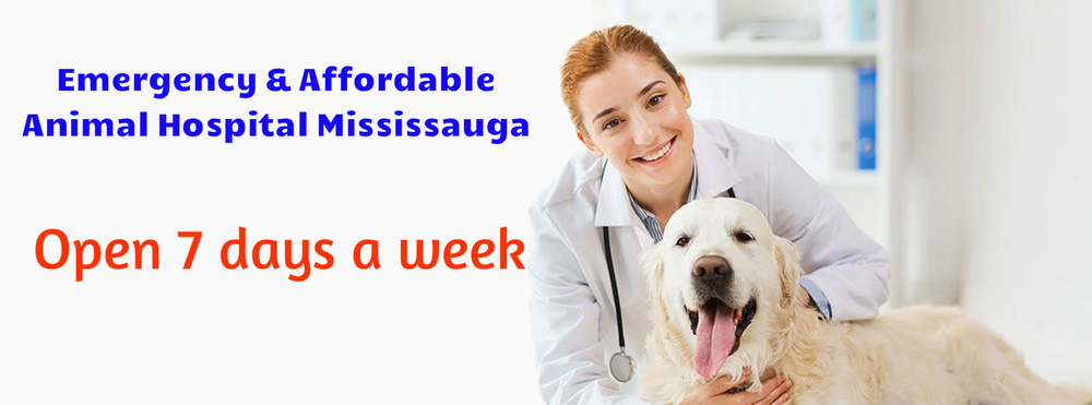 affordable pet emergency