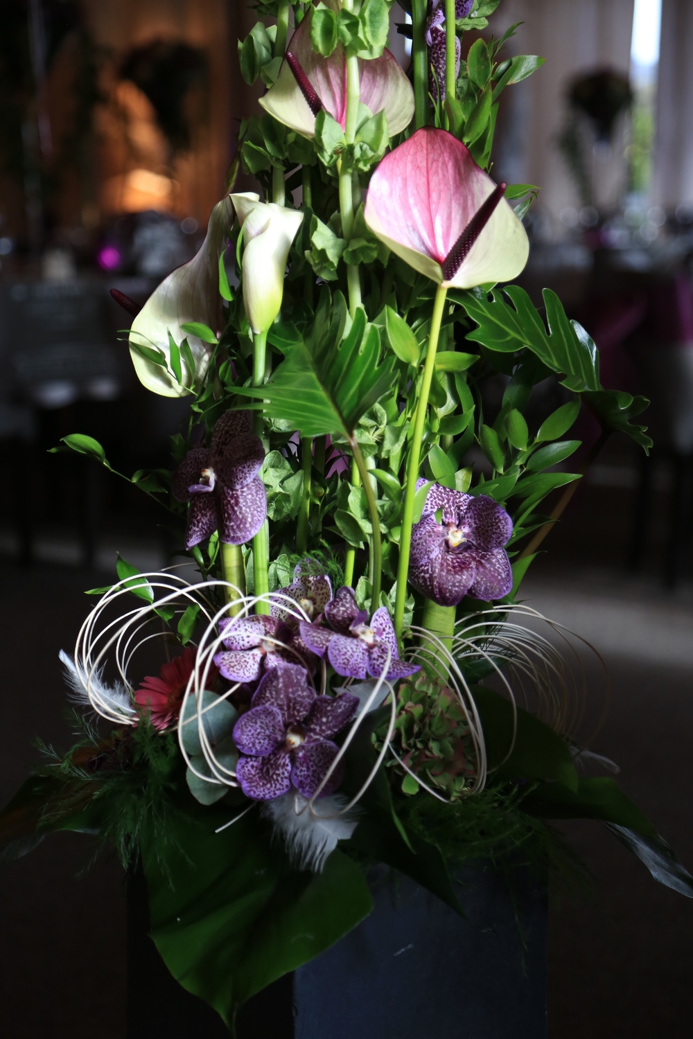 golf Rougemont le château