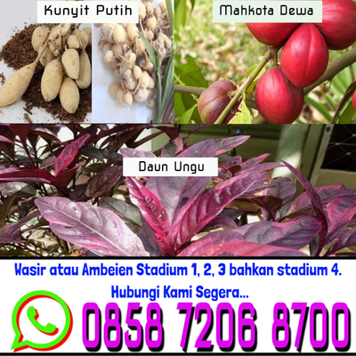 Pemutih Buat Ibu Aman Yg Hamil