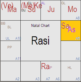 astrology future prediction, marriage, jobs, diseases, loans ...