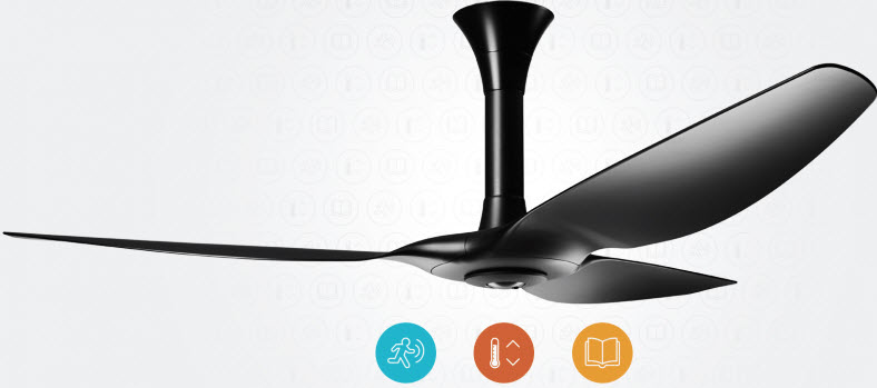 12-9-2014-11-04-53-AM